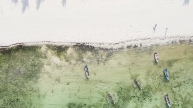 Tanzanya 'nın Zanzibar adasının dikey videosu, yavaş çekim