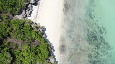 Tanzanya 'nın Zanzibar adasının dikey videosu, yavaş çekim