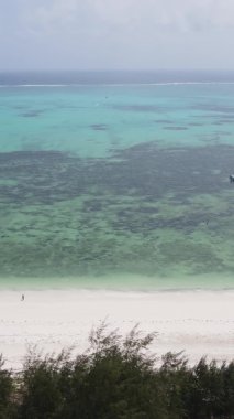 Tanzanya 'nın Zanzibar adasının dikey videosu, yavaş çekim