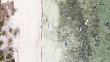 Tanzanya 'nın Zanzibar adasının dikey videosu, yavaş çekim