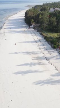 Tanzanya 'nın Zanzibar adasının dikey videosu, yavaş çekim