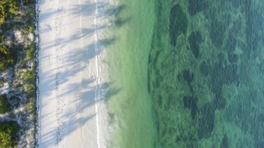 Tanzanya 'nın Zanzibar adasının dikey videosu, yavaş çekim