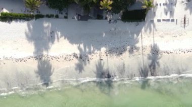 Tanzanya 'nın Zanzibar adasının dikey videosu, yavaş çekim