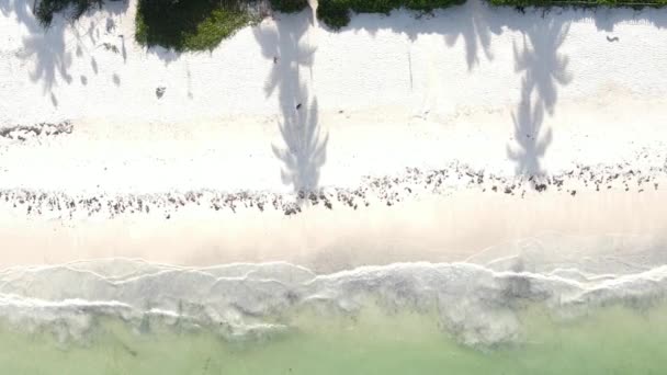 Vídeo vertical da costa da ilha de Zanzibar, Tanzânia, câmera lenta — Vídeo de Stock