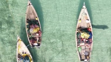 Tanzanya, dikey video - tekne, Zanzibar kıyısı yakınlarında okyanusta kayıklar, hava manzarası