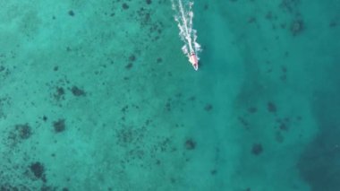 Tanzanya, dikey video - tekne, Zanzibar kıyısı yakınlarında okyanusta kayıklar, hava manzarası