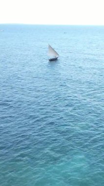 Tanzanya, dikey video - tekne, Zanzibar kıyısı yakınlarında okyanusta kayıklar, hava manzarası