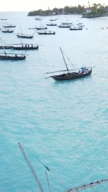 Tanzanya, dikey video - tekne, Zanzibar kıyısı yakınlarında okyanusta kayıklar, hava manzarası