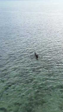 Tanzanya, dikey video - tekne, Zanzibar kıyısı yakınlarında okyanusta kayıklar, hava manzarası
