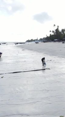 Tanzanya, dikey video - tekne, Zanzibar kıyısı yakınlarında okyanusta kayıklar, hava manzarası