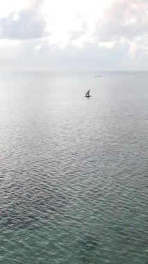 Tanzanya, dikey video - tekne, Zanzibar kıyısı yakınlarında okyanusta kayıklar, hava manzarası