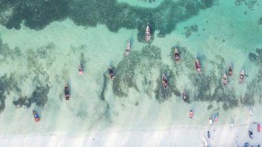 Tanzanya, dikey video - tekne, Zanzibar kıyısı yakınlarında okyanusta kayıklar, hava manzarası