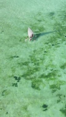 Tanzanya, dikey video - tekne, Zanzibar kıyısı yakınlarında okyanusta kayıklar, hava manzarası