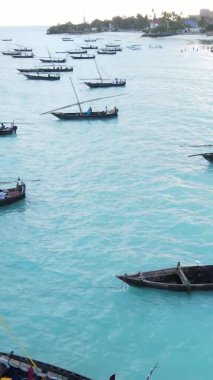 Tanzanya, dikey video - tekne, Zanzibar kıyısı yakınlarında okyanusta kayıklar, hava manzarası