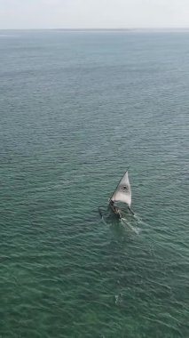 Tanzanya, dikey video - tekne, Zanzibar kıyısı yakınlarında okyanusta kayıklar, hava manzarası