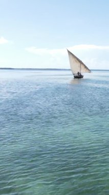 Tanzanya, dikey video - tekne, Zanzibar kıyısı yakınlarında okyanusta kayıklar, hava manzarası