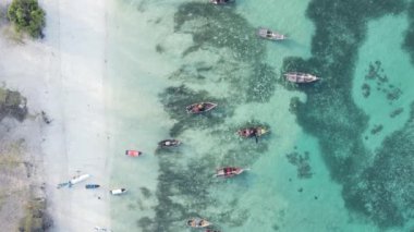 Tanzanya, dikey video - tekne, Zanzibar kıyısı yakınlarında okyanusta kayıklar, hava manzarası