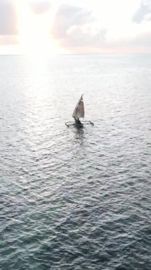 Tanzanya, dikey video - tekne, Zanzibar kıyısı yakınlarında okyanusta kayıklar, hava manzarası