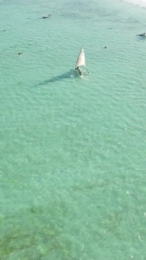 Tanzanya, dikey video - tekne, Zanzibar kıyısı yakınlarında okyanusta kayıklar, hava manzarası