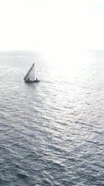Tanzanya, dikey video - tekne, Zanzibar kıyısı yakınlarında okyanusta kayıklar, hava manzarası