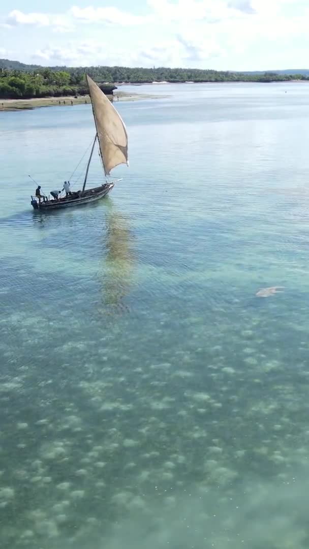 Tanzânia, vídeo vertical - barco, barcos no oceano perto da costa de Zanzibar, vista aérea — Vídeo de Stock