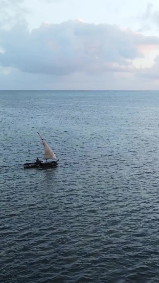 Tanzania, vertical video - boat, boats in the ocean near the coast of Zanzibar, aerial view — Stock Video