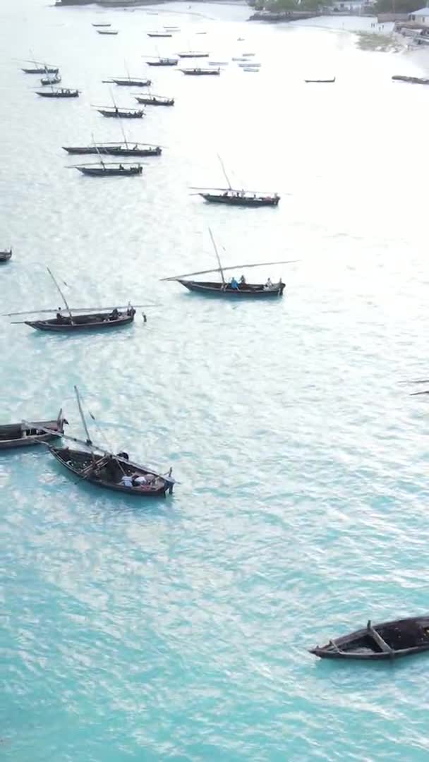 Tanzanie, vertikální video - loď, lodě v oceánu u pobřeží Zanzibaru, letecký výhled — Stock video