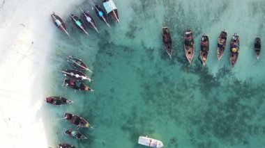Tanzanya, dikey video - tekne, Zanzibar kıyısı yakınlarında okyanusta kayıklar, hava manzarası