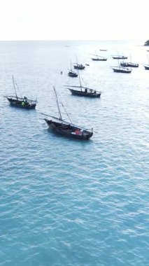 Tanzanya, dikey video - tekne, Zanzibar kıyısı yakınlarında okyanusta kayıklar, hava manzarası