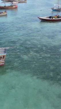 Tanzanya, dikey video - tekne, Zanzibar kıyısı yakınlarında okyanusta kayıklar, hava manzarası