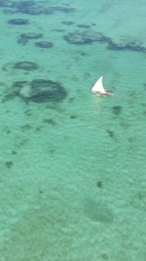 Tanzanya, dikey video - tekne, Zanzibar kıyısı yakınlarında okyanusta kayıklar, hava manzarası