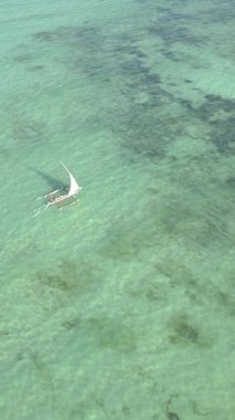 Tanzanya, dikey video - tekne, Zanzibar kıyısı yakınlarında okyanusta kayıklar, hava manzarası