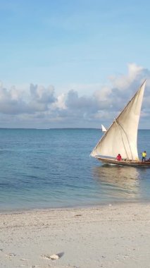 Tanzanya, dikey video - tekne, Zanzibar kıyısı yakınlarında okyanusta kayıklar, hava manzarası