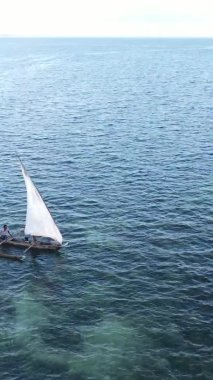 Tanzanya, dikey video - tekne, Zanzibar kıyısı yakınlarında okyanusta kayıklar, hava manzarası