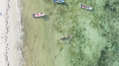 Tanzanya, dikey video - tekne, Zanzibar kıyısı yakınlarında okyanusta kayıklar, hava manzarası