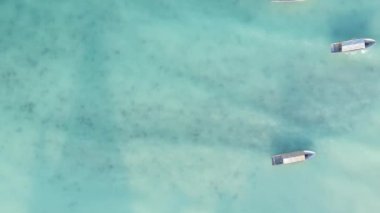 Tanzanya, dikey video - tekne, Zanzibar kıyısı yakınlarında okyanusta kayıklar, hava manzarası