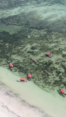 Tanzanya, dikey video - tekne, Zanzibar kıyısı yakınlarında okyanusta kayıklar, hava manzarası