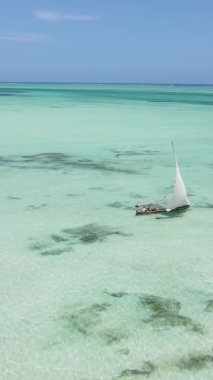 Tanzanya, dikey video - tekne, Zanzibar kıyısı yakınlarında okyanusta kayıklar, hava manzarası