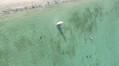 Tanzanya, dikey video - tekne, Zanzibar kıyısı yakınlarında okyanusta kayıklar, hava manzarası