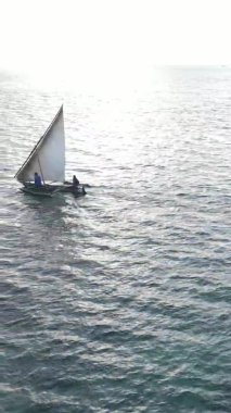 Tanzanya, dikey video - tekne, Zanzibar kıyısı yakınlarında okyanusta kayıklar, hava manzarası