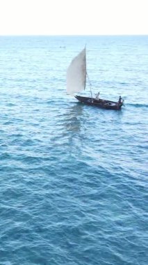 Tanzanya, dikey video - tekne, Zanzibar kıyısı yakınlarında okyanusta kayıklar, hava manzarası