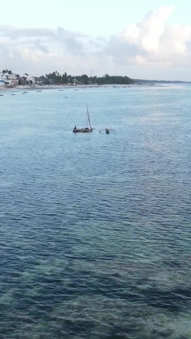 탄자니아 , vertical video - boat, boat in the sea near Zanzibar, airview — 비디오