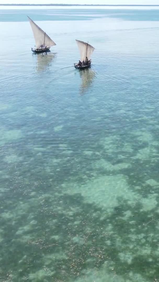 Tanzania, vídeo vertical - barco, barcos en el océano cerca de la costa de Zanzíbar, vista aérea — Vídeos de Stock