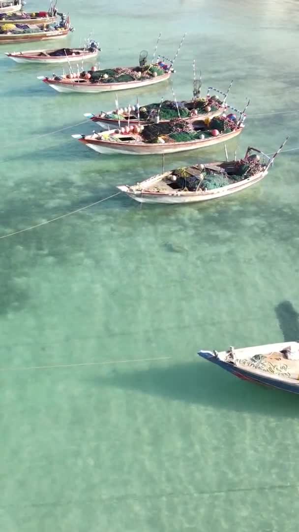 Tanzania, vídeo vertical - barco, barcos en el océano cerca de la costa de Zanzíbar, vista aérea — Vídeos de Stock
