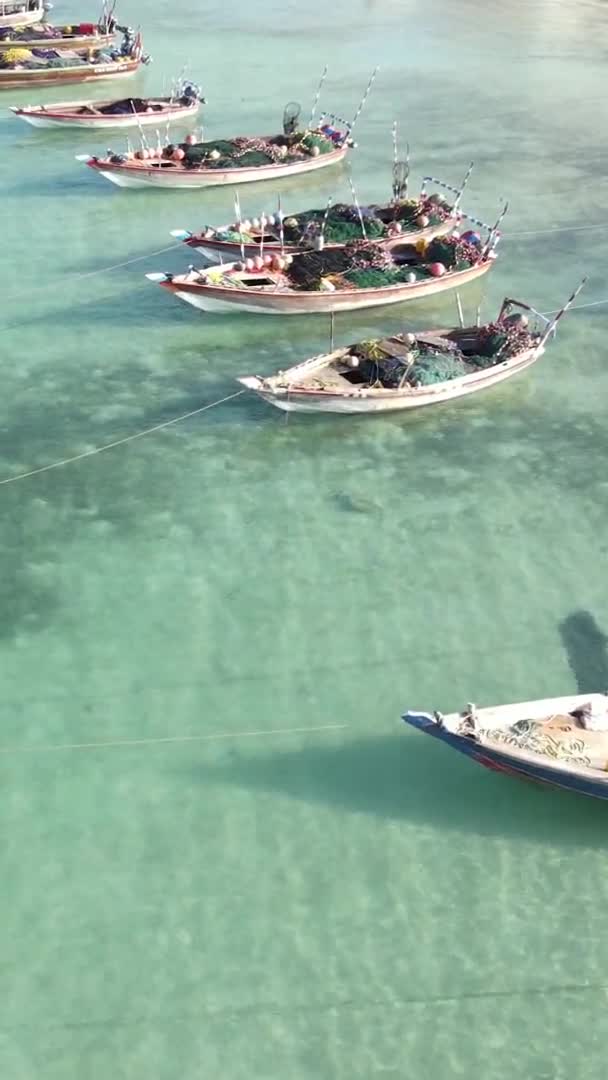 Tanzania, vídeo vertical - barco, barcos en el océano cerca de la costa de Zanzíbar, vista aérea — Vídeo de stock