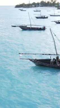 Tanzanya, dikey video - tekne, Zanzibar kıyısı yakınlarında okyanusta kayıklar, hava manzarası