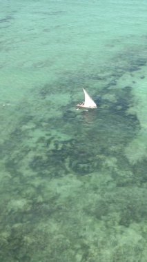 Tanzanya, dikey video - tekne, Zanzibar kıyısı yakınlarında okyanusta kayıklar, hava manzarası