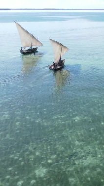 Tanzanya, dikey video - tekne, Zanzibar kıyısı yakınlarında okyanusta kayıklar, hava manzarası