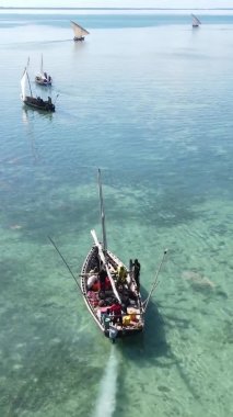 Tanzanya, dikey video - tekne, Zanzibar kıyısı yakınlarında okyanusta kayıklar, hava manzarası