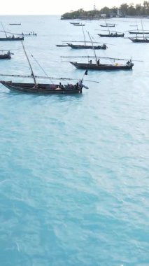Tanzanya, dikey video - tekne, Zanzibar kıyısı yakınlarında okyanusta kayıklar, hava manzarası